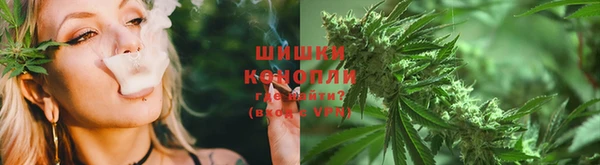 стаф Волосово