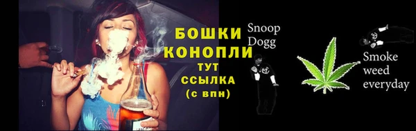 стафф Володарск