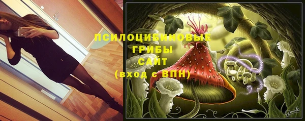 стафф Володарск