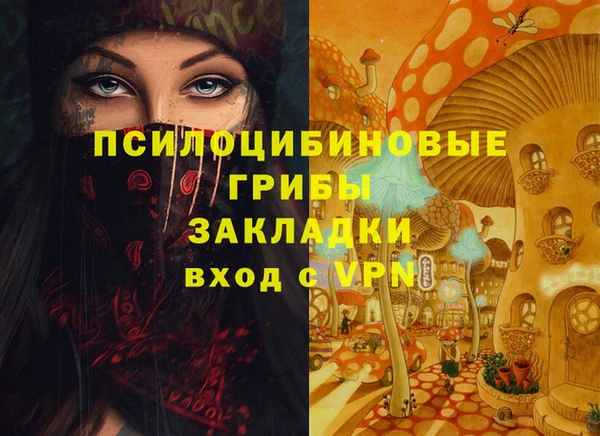 стафф Володарск